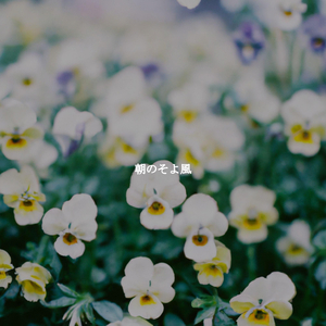 Wondrous Ambience for Fresh Energy