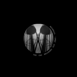 The Cry (Reloaded) [feat. Tytanium]