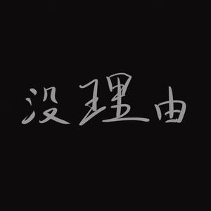 没理由
