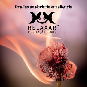 Calma que Floresce Dentro