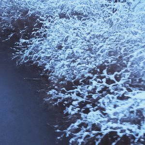 我期待的一直都是你