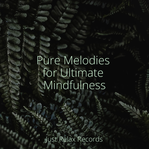 Moonlit Spellbound Lullaby