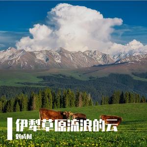 伊犁草原流浪的云