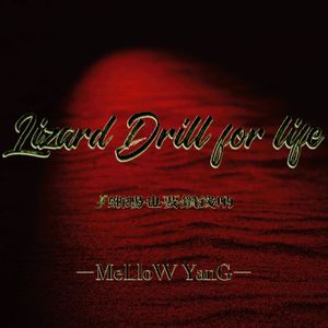 蜥蜴也要钻钱呐（Drill）