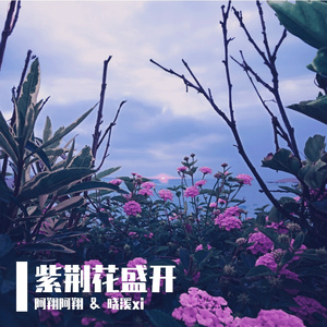 紫荆花盛开- GX & 晓溪xi