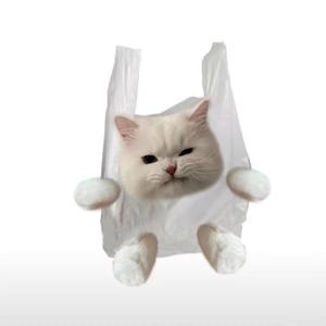 我有钱你爱我吧（女翻）