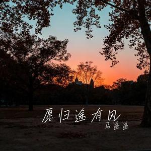 愿归途有风 (Cover 王佳音)