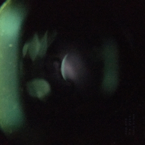 I Dont Know What to Feel Anymore, Confused and Afraid We Cower Behind the Shadows of Our Parents