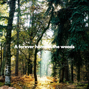 Bubbly Positive Noise