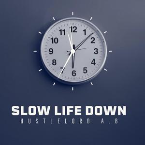Slow Life Down