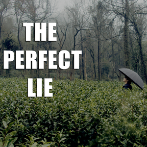 完美的谎