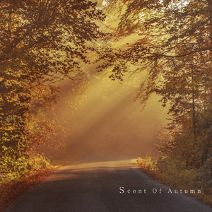 가을 향기 속으로