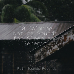 Song of the Gentle Meadow