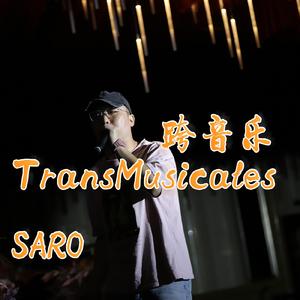 跨音乐的相遇TransMusicales
