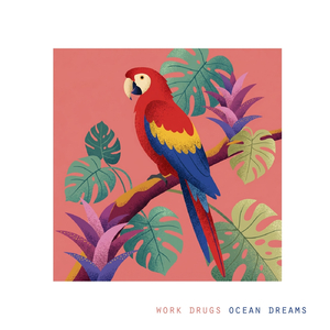 Ocean Dreams