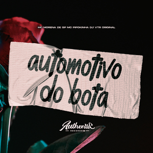 Automotivo do Bota