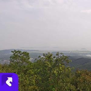 过期的晚安代码 (现场)