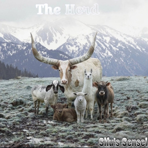 The Herd