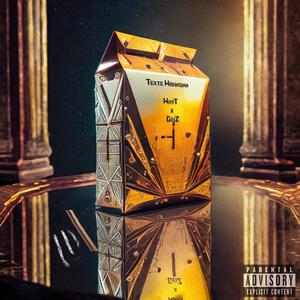 Texte Wahnsinn (feat. GeiZ)