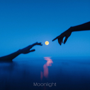 moonlight