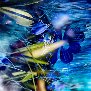 Deep in Sand (Claudio Solis Remix)