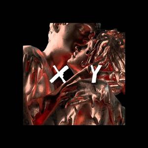 X.Y