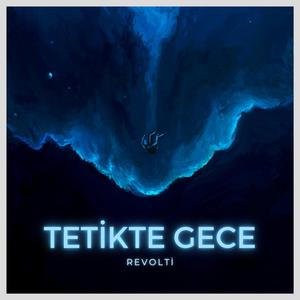 Tetikte Gece