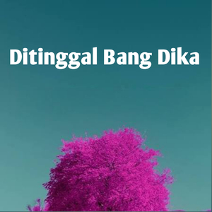 Ditinggal Bang Dika