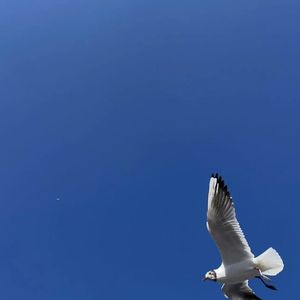 忽而今夏（cover汪苏泷）