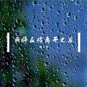 雨停在你离开之后 (雨停在你离开之后)