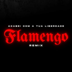 Acabei Com A Tua Liberdade - Flamengo (Remix)