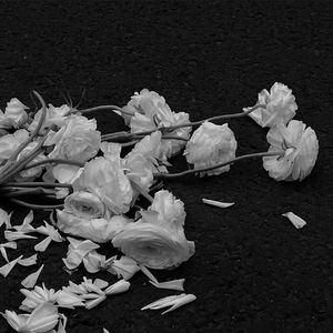 신요. (Prod By 9Zi)