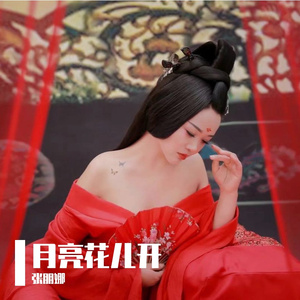 月亮花儿开 伴奏