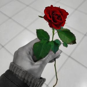 Can’t Hold a Heart