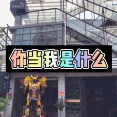 我的梦 (限量版)