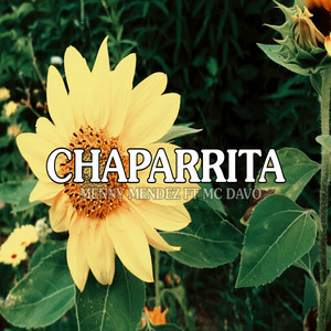 Chaparrita (feat. MC Davo)