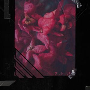 DWTD (feat. Bethany Davey)