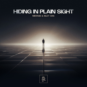 Hiding In Plain Sight