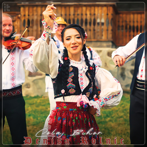 Colaj Bihor