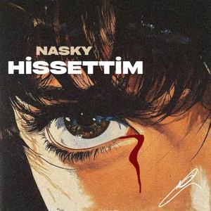 HİSSETTİM