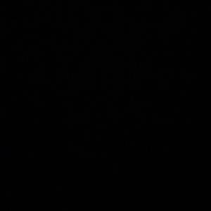 Thunky man (feat. Anti da menace & Lilzee83)