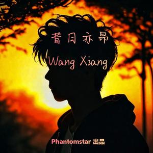 昔日亦昂（Wang Xiang） 伴奏