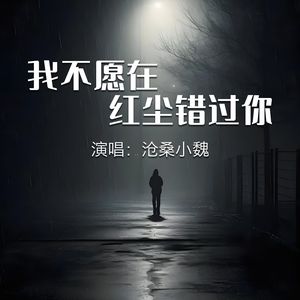 我不愿在红尘错过你