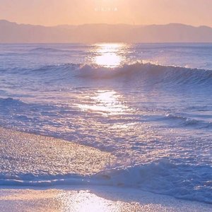 [Free]失败的暗杀