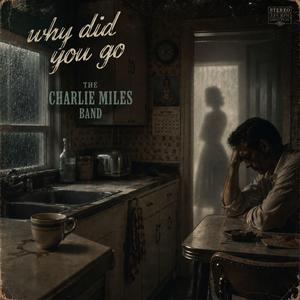 Why Did You Go