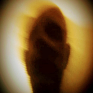Eerie Sounds of Quiet Elucidatelessness