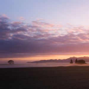 晚风寄信人 (放松箜篌)