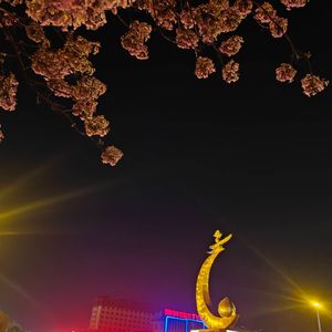 又是一年毕业季