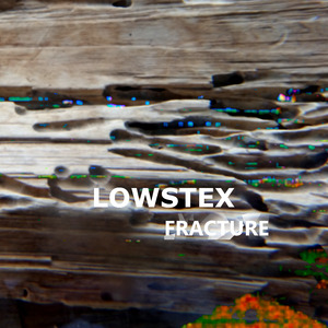 Fracture