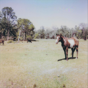 Another Day in Paradise